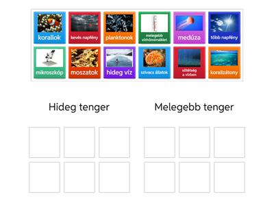 TANAK Biológia 7.o. A tengerek élővilága