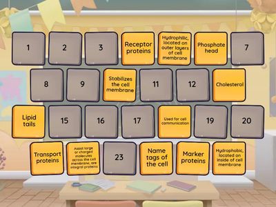 Components of Cell Membrane