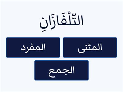 المفرد - المثنى - الجمع