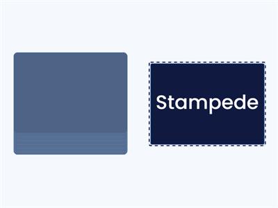 Reptile Word Reading