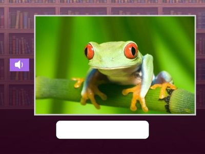 Orthographe - ail/euil/eil/ouil (f/m)