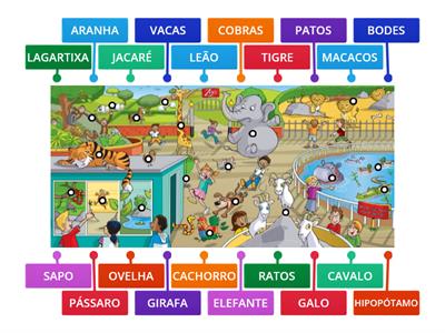 Percepção visual - ZOOLÓGICO