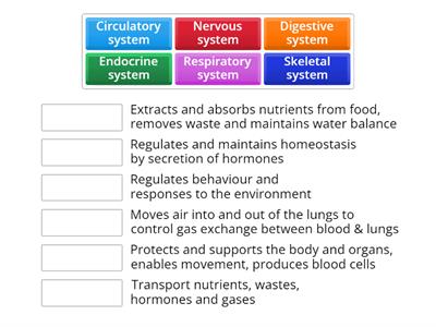 Organ systems match up