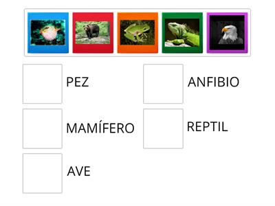 ANIMALES VERTEBRADOS