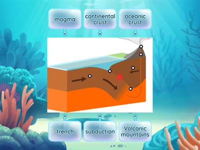 convergent- oceanic and continental