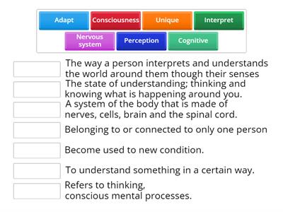 Basic cognitive processes