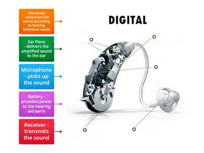 Label Parts of the (digital) Hearing Aid 