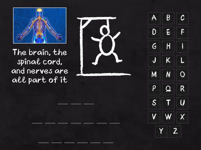 Hangman -  Nervous System