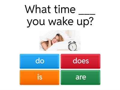 Present Simple Question Forms Quiz