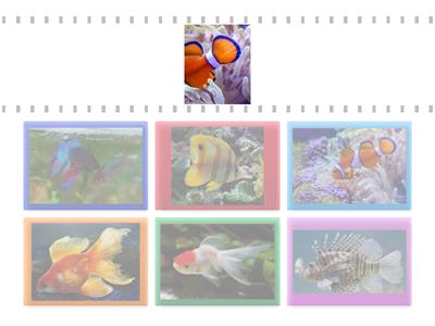 Чий хвостик?