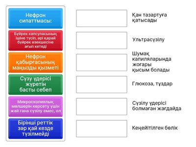 Нефронның құрылысы мен қызметі