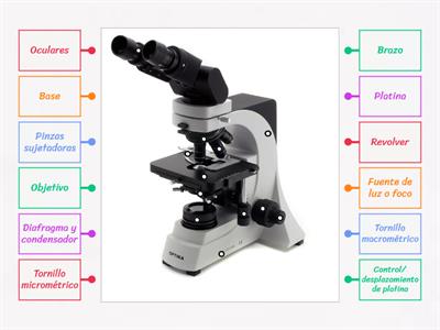 Partes del microscopio óptico