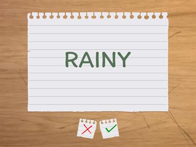 WEATHER FLASHCARDS