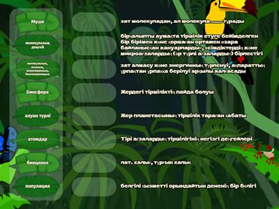 Әйелдердің ояту станциясының секс видеосы