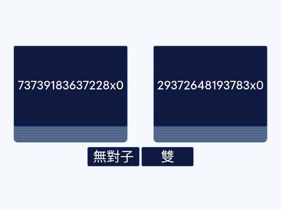 TMC 自A P4 數學 許煒楠