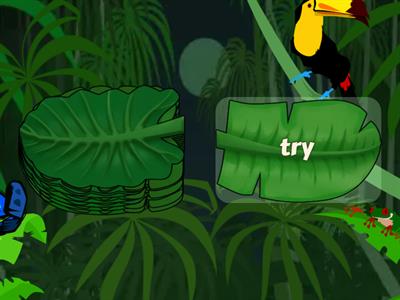 Inflectional Endings