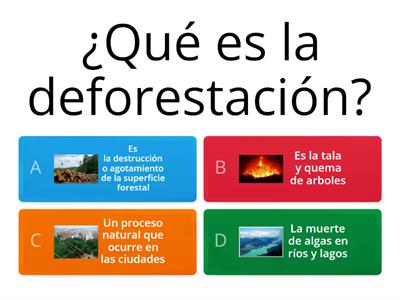 Sobre deforestación