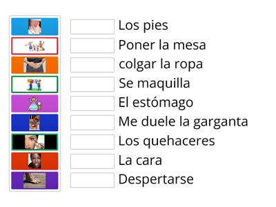 Verbs  and words associated with Daily Routine (B)