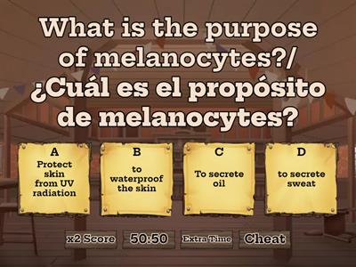 Integumentary System Quiz