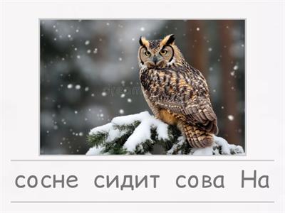 Грамматика 