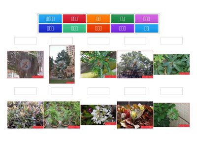 園藝一31陳禾融