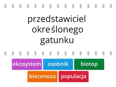 Ekologia