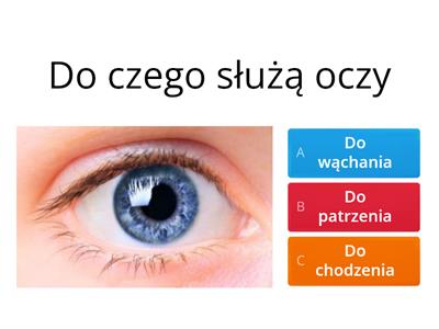 Części ciała 