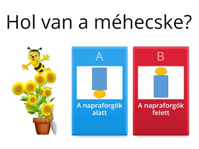 Hol van a méhecske? alatt-felett