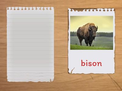 E6 U3 L1 cards symbols