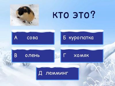 ТУНДРА