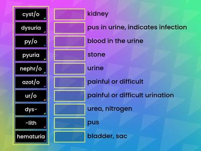 Kidney & Urinary