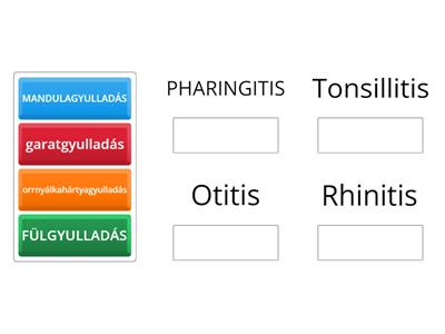 24.h Mit jelent magyarul?