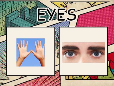 PARTS OF THE BODY quiz