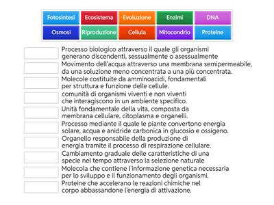 Quiz-scienze-wordwall-secondaria secondo grado 