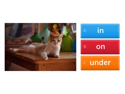 Prepositions in/on/ under