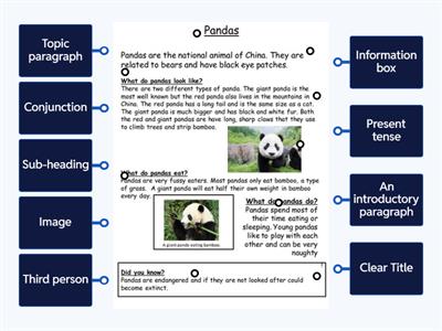 Non-chronological Report