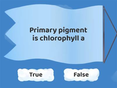 Photosynthesis