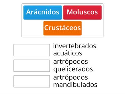 INVERTEBRADOS