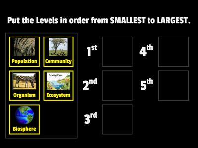 Levels of Organization in Ecosystems