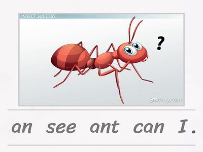 I learn smart start unit 1,2,3 Structures