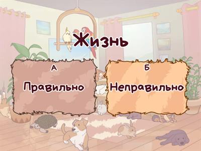 ЖИ-ШИ, ЧА-ЩА, ЧУ-ЩУ