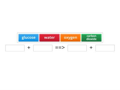 Photosynthesis equation