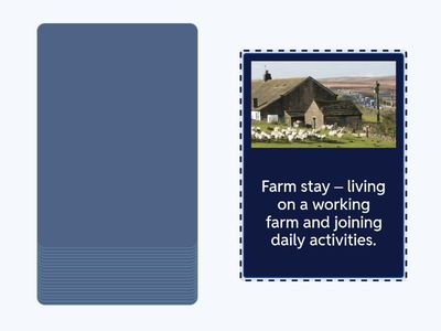 What kind of holiday do you like?