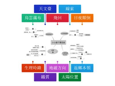 康軒四下 第八課　小小鴿子要回家 心智圖