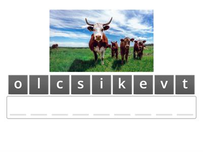 Unit 4: Ethnic group of Viet Nam 1