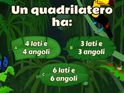 Quadrilateri