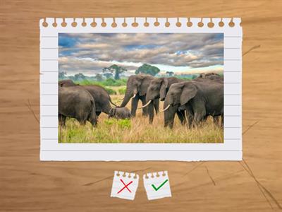 Own it! 3 Unit 5.1 Flash cards