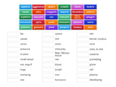 Phlebotomy Med Term #1