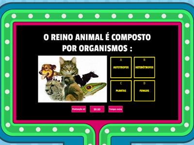 ATIVIDADE SOBRE REINO ANIMAL