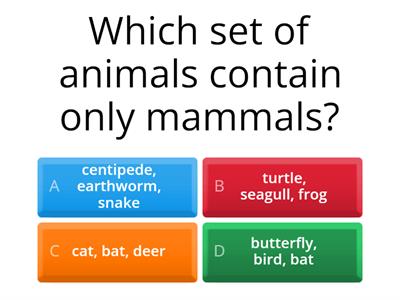 Animal Classification Quiz